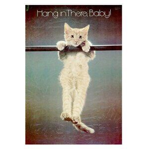 1970s Hang In There Baby Cat Poster 165